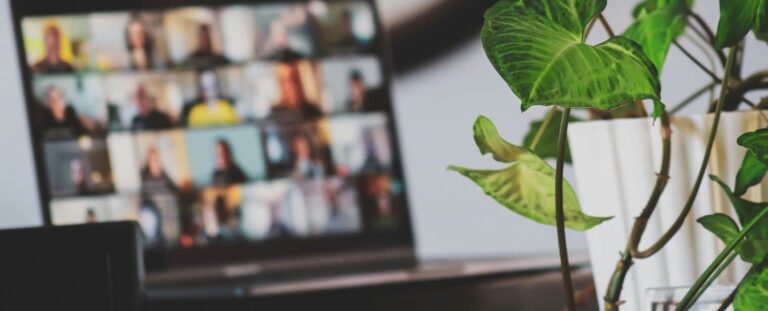 Imagem de uma tela do computador com uma reunião online acontecendo. A imagem está desfocada, e o foco está em uma planta na frente.